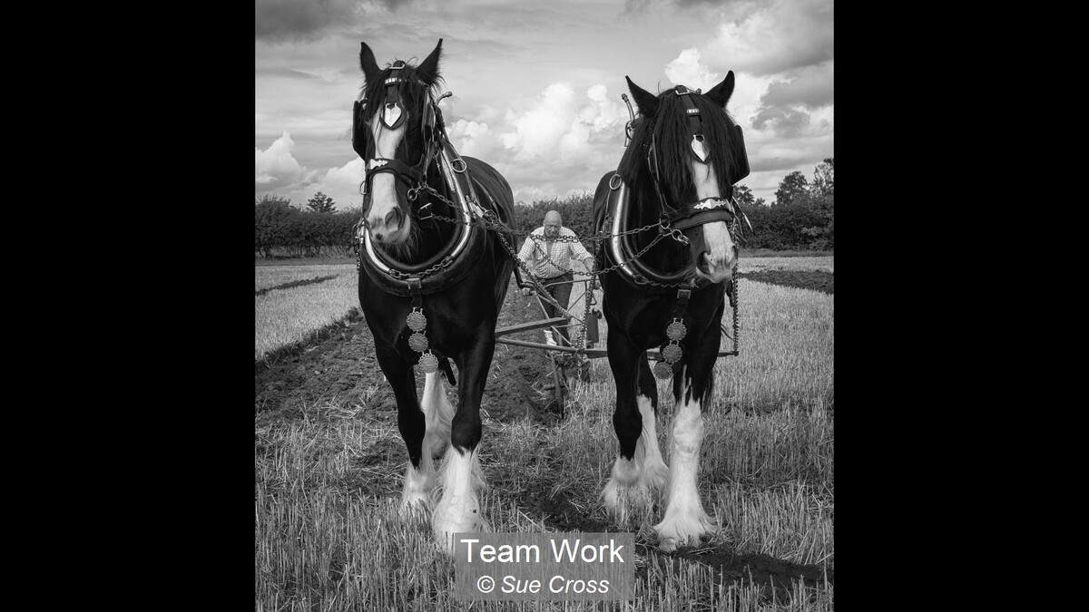 Team Work
